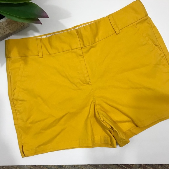 ❗️BOGO❗️Ann Taylor Loft Shorts - Picture 2 of 7